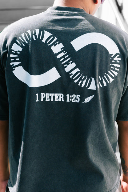 THIS GARMENT WILL FADE Tee